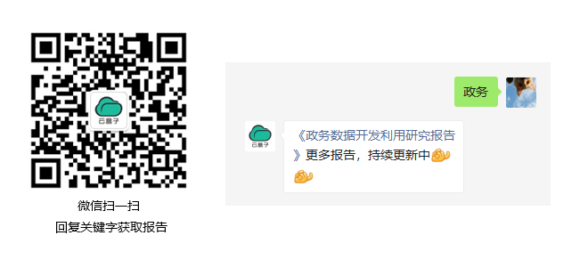 政务数据开发利用研究报告(2021版)