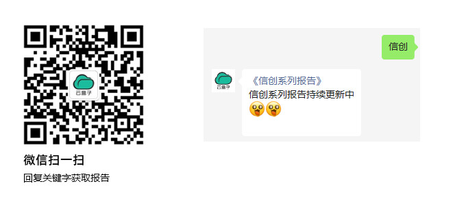 2022网信自主创新调研报告